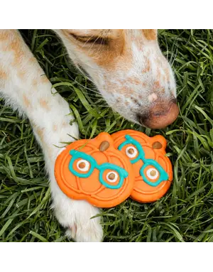 Bosco & Roxy's Copy of Bosco & Roxy's citrouille lunette (18)