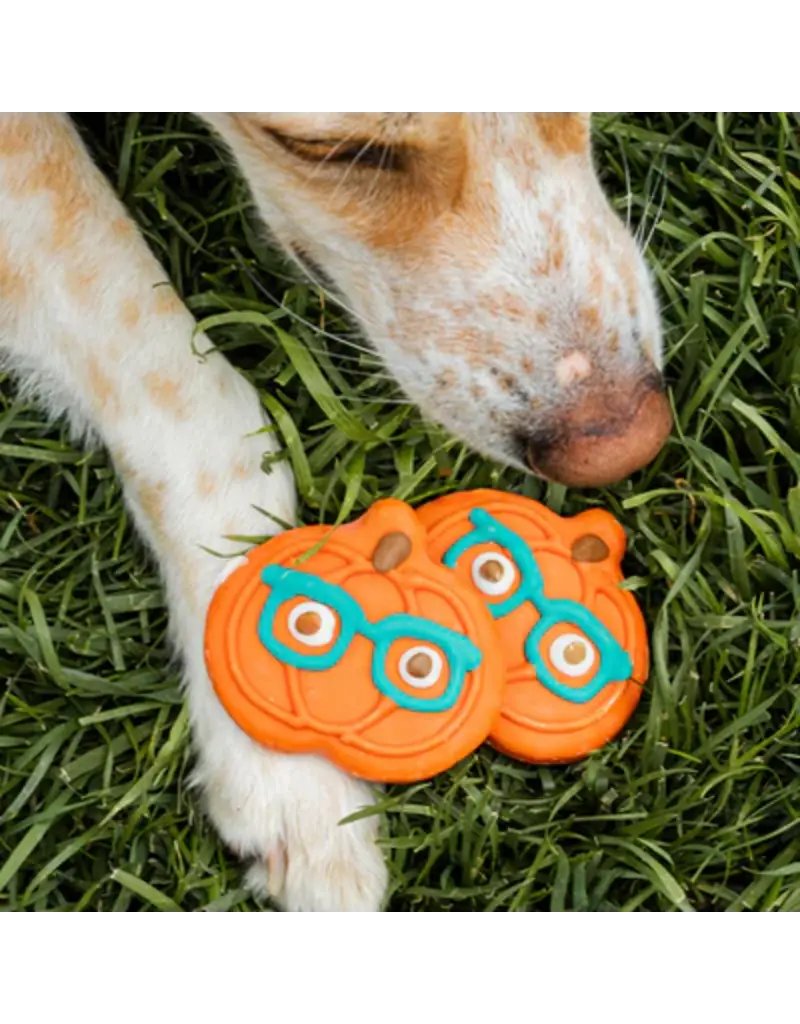 Bosco & Roxy's Copy of Bosco & Roxy's citrouille lunette (18)