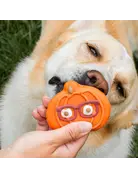 Bosco & Roxy's Copy of Bosco & Roxy's citrouille lunette (18)