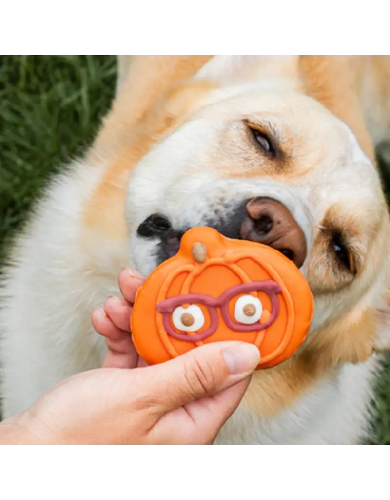 Bosco & Roxy's Copy of Bosco & Roxy's citrouille lunette (18)