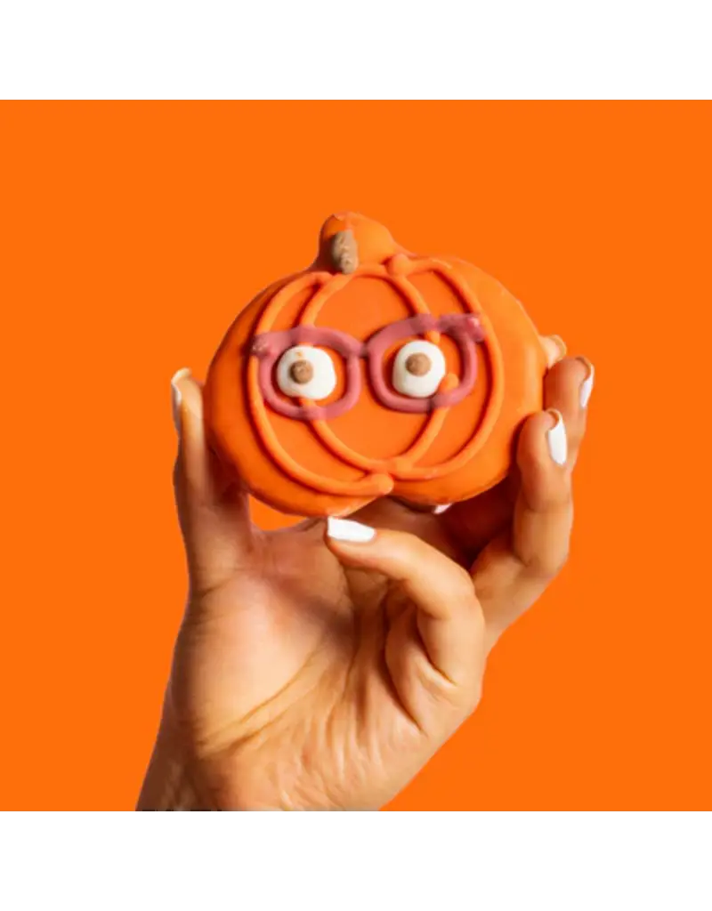 Bosco & Roxy's Copy of Bosco & Roxy's citrouille lunette (18)