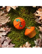 Bosco & Roxy's Bosco & Roxy's citrouille lunette (18)