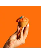 Bosco & Roxy's Bosco & Roxy's citrouille lunette (18)