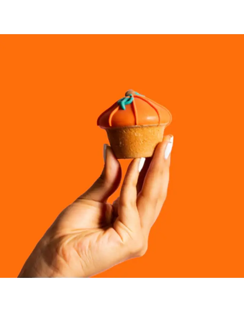 Bosco & Roxy's Bosco & Roxy's citrouille lunette (18)