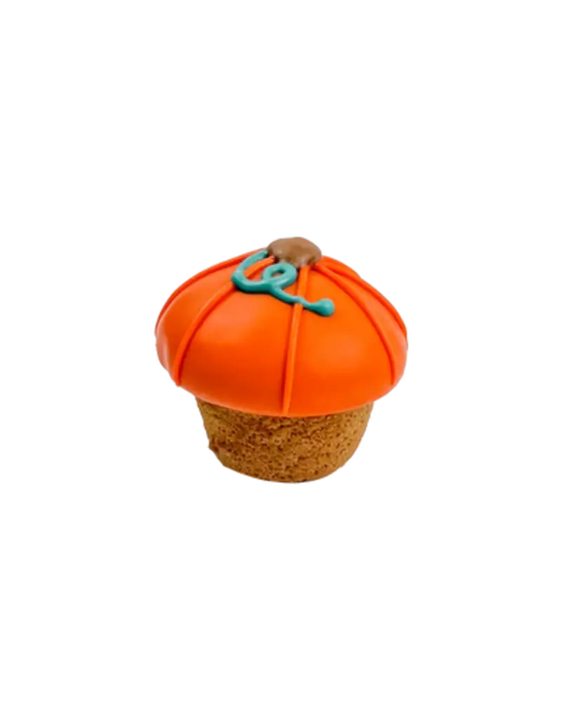 Bosco & Roxy's Bosco & Roxy's citrouille lunette (18)