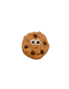 Bosco & Roxy's Bosco & Roxy's biscuit (18)