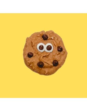 Bosco & Roxy's Bosco & Roxy's biscuit (18)