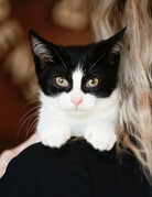 SEVERUS