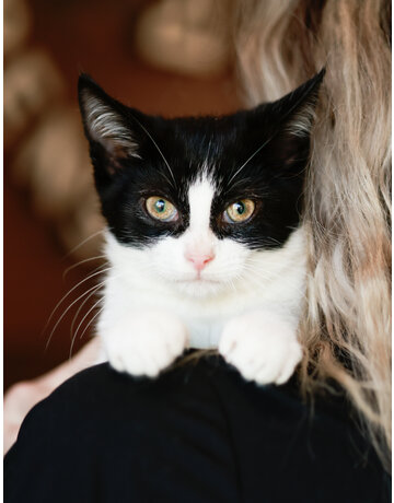 SEVERUS