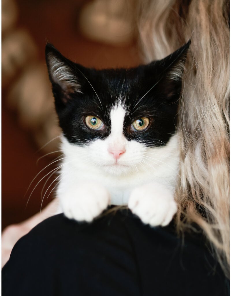 SEVERUS