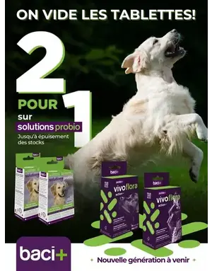 Baci+ Probio+ Vivoflora pour chiens 14 sachets