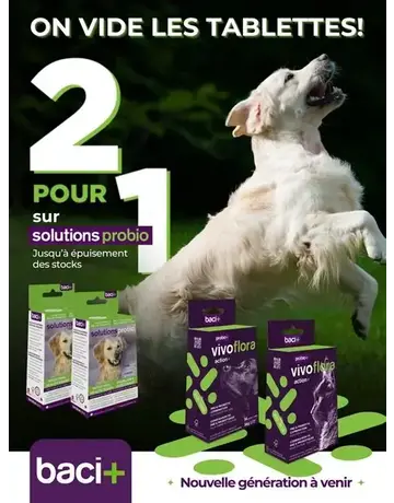 Baci+ Probio+ Vivoflora pour chiens 14 sachets