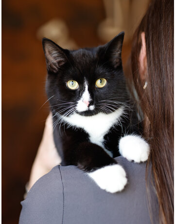 NYX