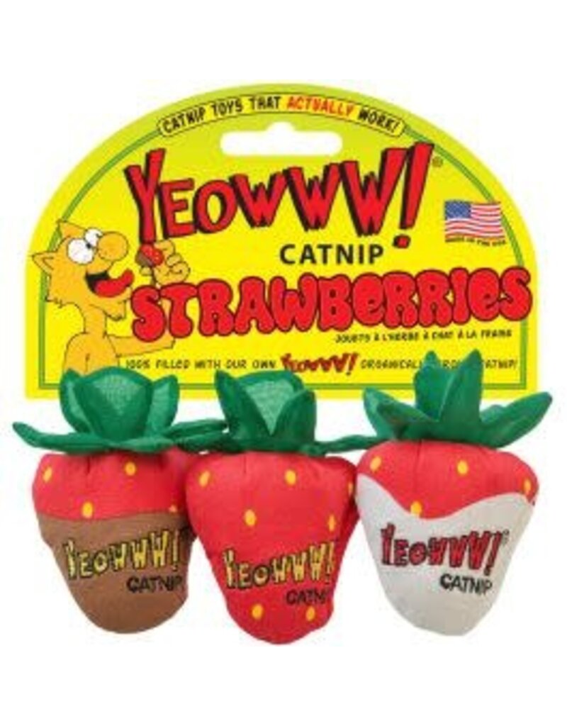 Ducky world Ducky world chat fraise nature, frais choco blanc, fraise choco brun assortie à l'unité (3)