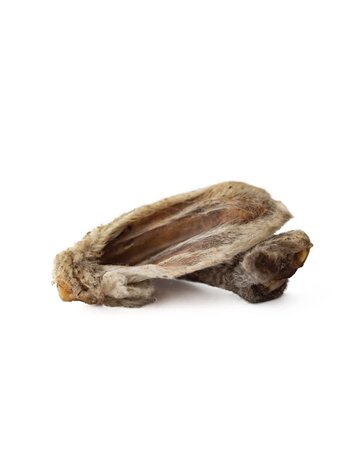 Pci Oreilles d'agneau avec poils 100% naturelles (approx 50)