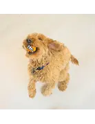 Kong Kong Grinz poisson-globe