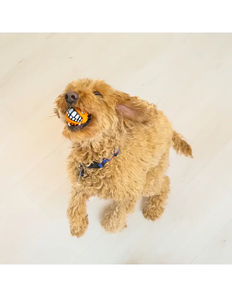 Kong Kong Grinz poisson-globe