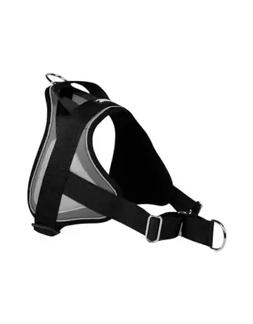 Animalin Animalin Reflex gris très grand