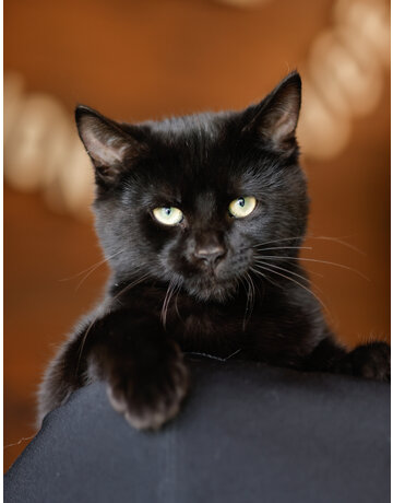 ONYX