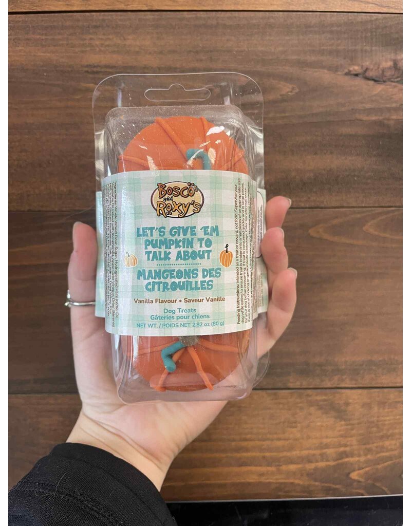 Bosco & Roxy's Copy of Bosco & Roxy's citrouille lunette (18)