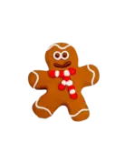 Bosco & Roxy's Bosco & Roxy Pain d'épice