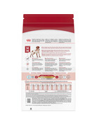 Royal Canin Royal Canin nourriture chien adulte moyen 4 lb