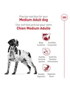Royal Canin Royal Canin nourriture chien adulte moyen 4 lb