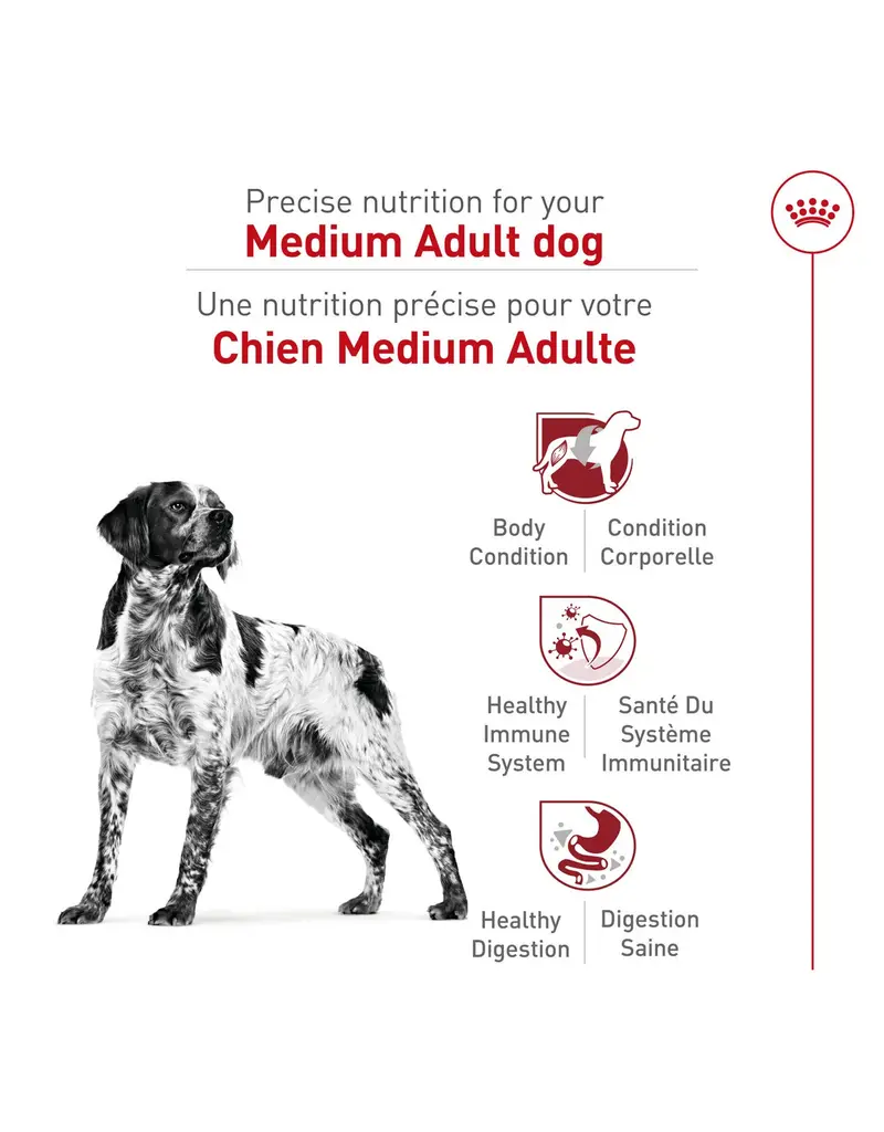 Royal Canin Royal Canin nourriture chien adulte moyen 4 lb