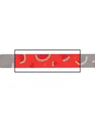 Tella & Stella Tella & Stella laisse pour chat pastèque fraiche