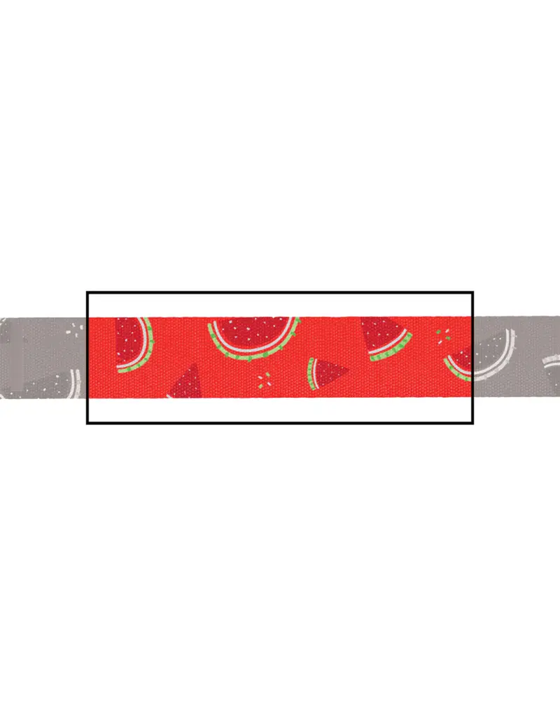 Tella & Stella Tella & Stella laisse pour chat pastèque fraiche