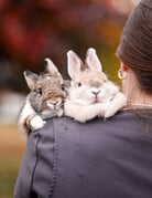 MOCHI ET LOUNA