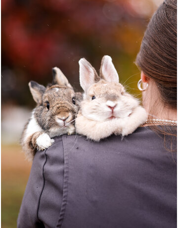 MOCHI ET LOUNA