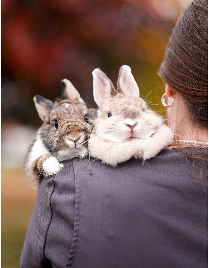 MOCHI ET LOUNA