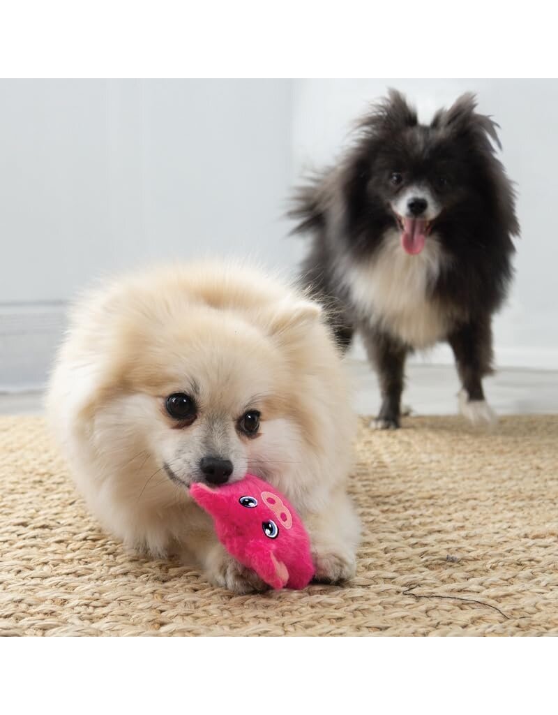 Kong Kong Snuzzles cochon extra small pour chien