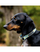 Tella & Stella Tella & Stella collier pour chien « quack » -