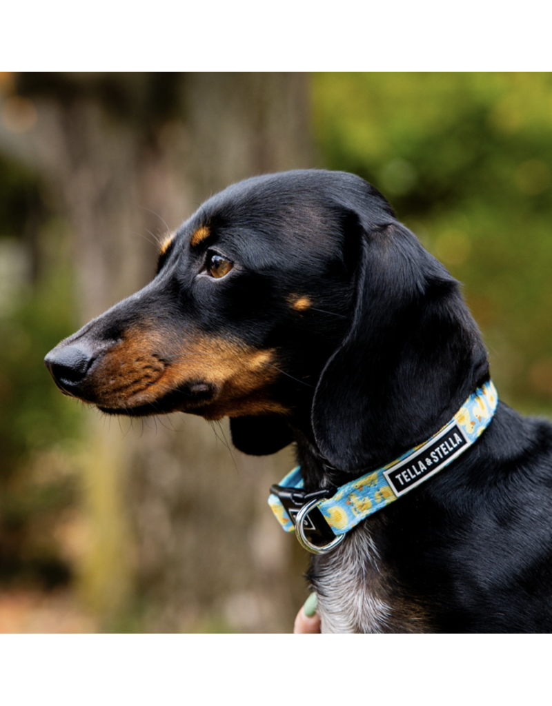 Tella & Stella Tella & Stella collier pour chien « quack » -