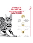 Royal Canin Royal Canin bengal 7 lb -4-