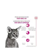 Royal Canin Royal Canin nourriture pour chat capricieux 7 lb