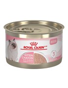 Royal Canin Royal Canin chaton conserve pâté 145g (24)