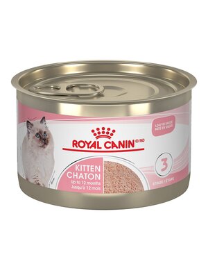 Royal Canin Royal Canin chaton conserve pâté 145g (24)