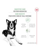 Royal Canin Royal Canin moyen chien soin digestif 30lb