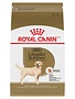 Royal Canin Royal Canin labrador