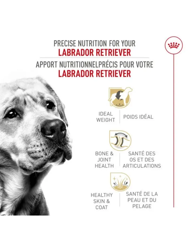 Royal Canin Royal Canin labrador