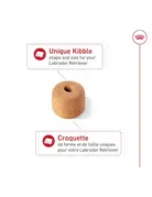 Royal Canin Royal Canin labrador