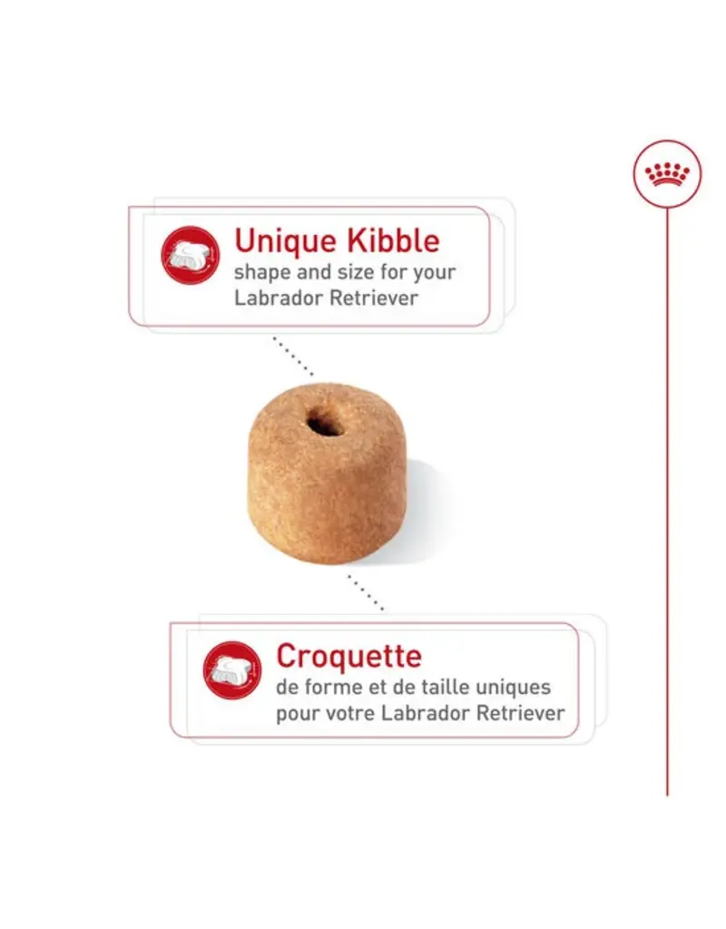 Royal Canin Royal Canin labrador