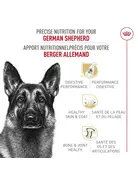 Royal Canin Royal Canin berger allemand