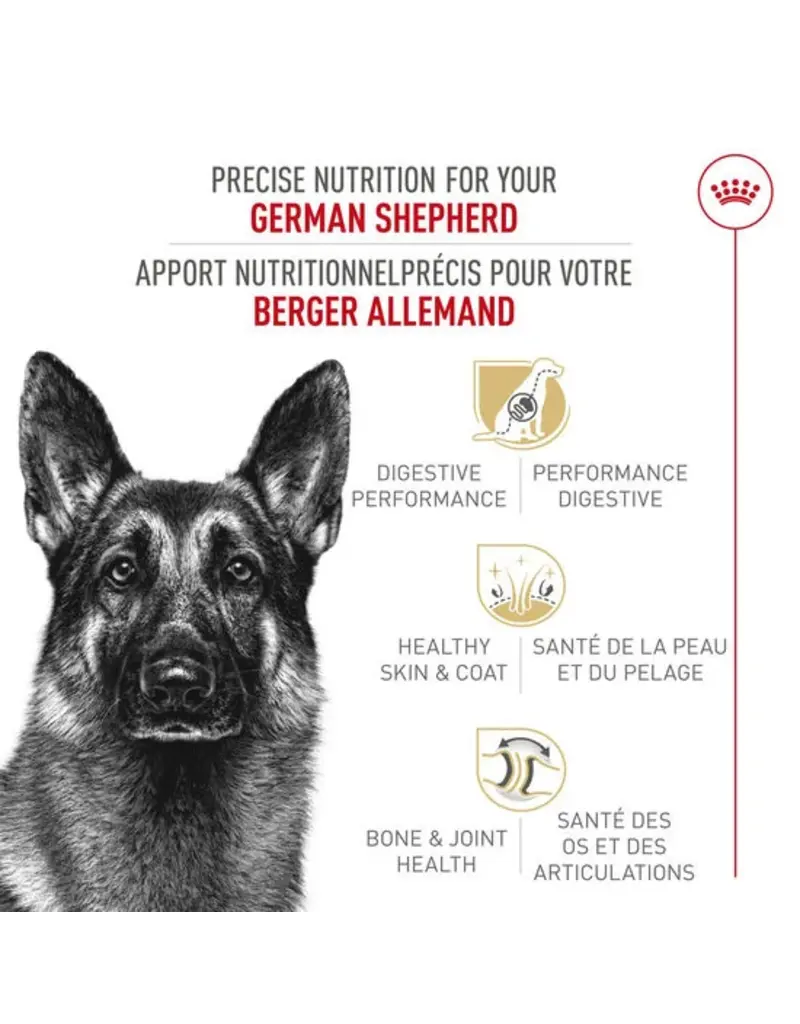Royal Canin Royal Canin berger allemand