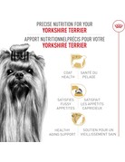 Royal Canin Royal Canin yorkshire terrier