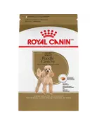 Royal Canin Royal Canin caniche