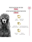 Royal Canin Royal Canin caniche